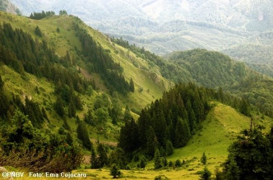 Kogayon: România ca un parc