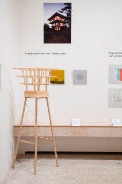 Colecție de proiecte curajoase // Design Museum series 