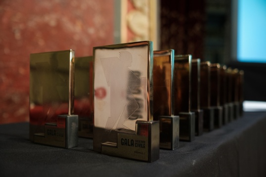 Marele premiul al Galei Societății Civile este câștigat pentru prima dată de o inițiativă din secțiunea „Proiecte și campanii de Voluntariat”