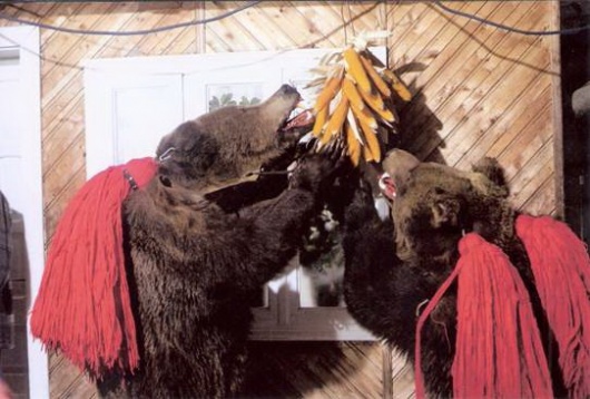 „URS GEEST”: reinventarea dansului ritualic al ursului în culturile română şi belgiană în EUROPALIA România