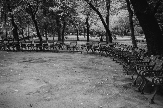 Cișmigiu Mon Amour: Declarație de dragoste pentru cel mai vechi parc din București