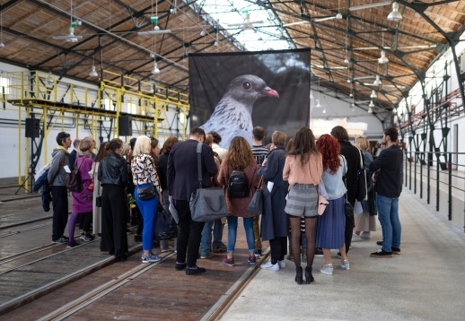 Bienala Art Encounters 2019 a ajuns la final – experiența celei de-a treia ediții