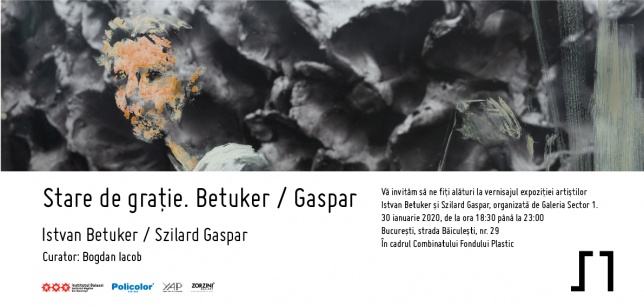 Duo show-ul Stare de grație. Betuker / Gaspar deschide programul curatorial al Galeriei Sector 1 în 2020
