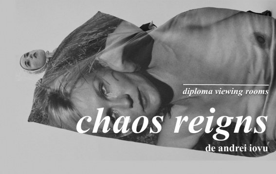 DIPLOMA Viewing Rooms // Chaos Reigns, o colecție îngrijită de Andrei Iovu