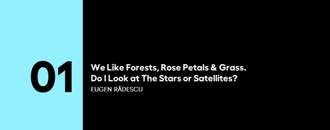 5 PENTRU ARTE | (1) Eugen Rădescu: We Like Forests, Rose Petals & Grass. Do I Look at The Stars or Satellites?