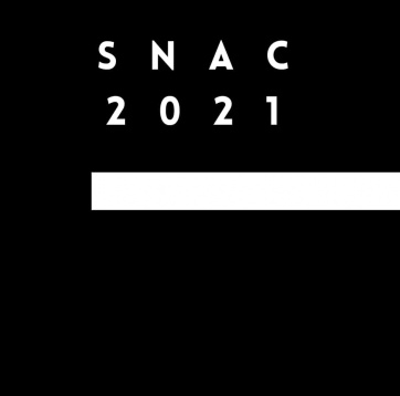 Salonul Național de Artă Contemporană (SNAC) 2021