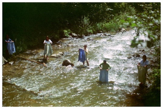 Expozitia „Între Ape (Waters of in-betweenness)” debuteaza la House of European Institutes Timisoara 