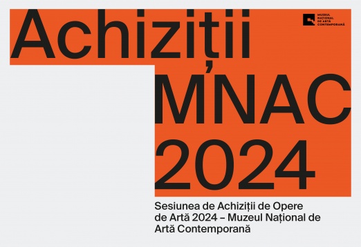 43 de lucrări intră anul acesta în colecția Muzeului Național de Artă Contemporană — MNAC București