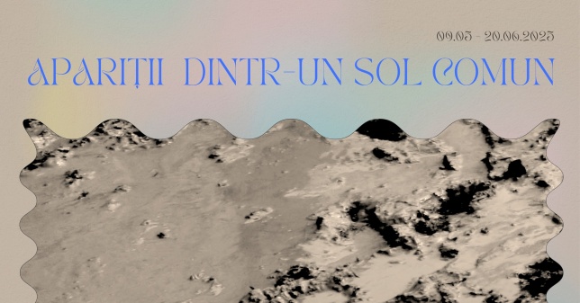 „Apariții dintr-un sol comun” – o expoziție colectivă despre compost, comunitate și transformare