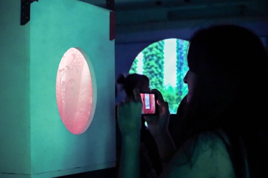 Expoziția „Comunitate și sustenabilitate” – eveniment CSWeek la MȚR