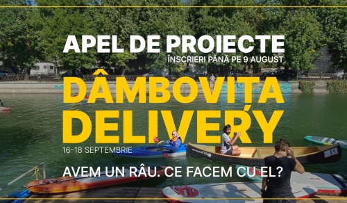Apel de proiecte DÂMBOVIȚA DELIVERY 2022