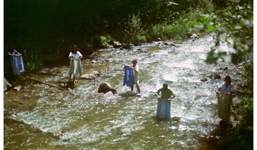 Expozitia „Între Ape (Waters of in-betweenness)” debuteaza la House of European Institutes Timisoara 