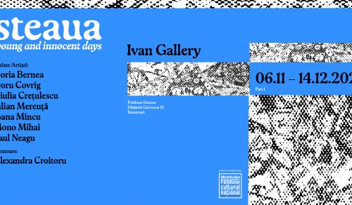 „steaua. young and innocent days” -  arta ca memorie si libertate. 
