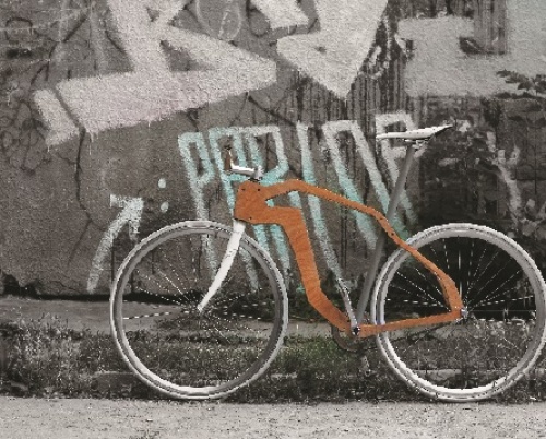 Andrei Cristian Sandu  // Bicicletă urbană