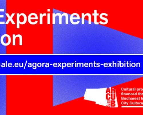 Despre instalații de artă și arhitectură în folosul comunității la Agora Experiments
