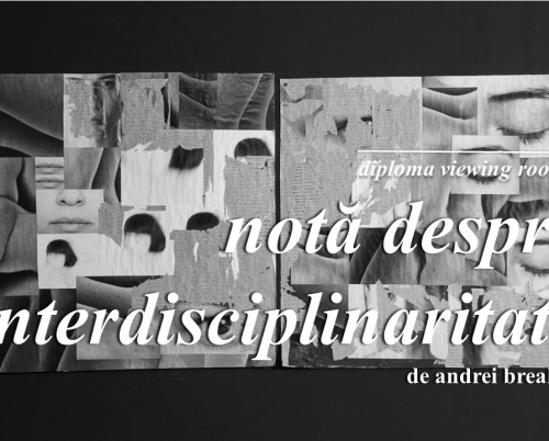 DIPLOMA Viewing Rooms // Notă despre interdisciplinaritate, o colecție de lucrări de artă curatoriată de Andrei Breahnă
