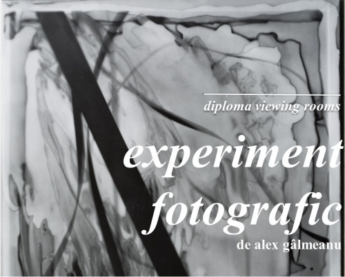 DIPLOMA Viewing Rooms // Experiment fotografic, o colecție de artă fotografică îngrijită de Alex Gâlmeanu
