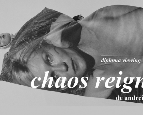 DIPLOMA Viewing Rooms // Chaos Reigns, o colecție îngrijită de Andrei Iovu