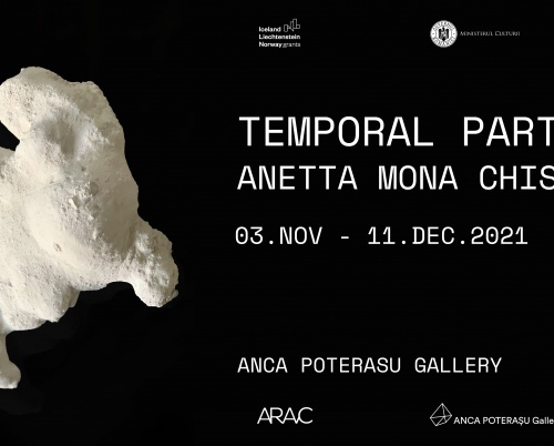 Galeria Anca Poterașu prezintă expoziția Temporal Parts a artistei Anetta Mona Chisa