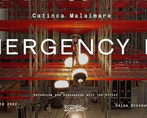 Catinca Malaimare: Emergency EX la Galeria Catinca Tăbăcaru 