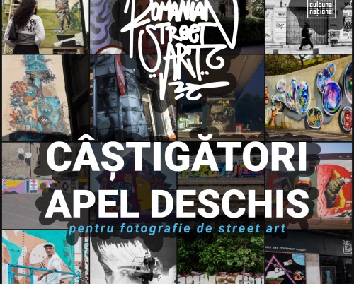 Romanian Street Art anunță fotografiile câștigătoare ale apelului deschis 