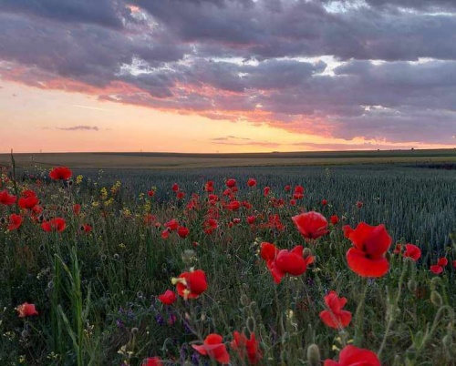 „În căutarea paradisului pierdut”, de la oraș la sat - proiecții de film și vernisaj pe 7, 9 și 11 noiembrie, în București