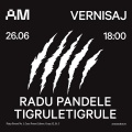 Solo-show Radu Pandele: Tigruletigrule, la ARSMONITOR